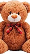 Urso Grande