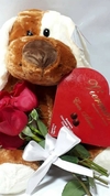 Cachorrinho de pelúcia + Chocolate Bombons 5 unidades + 4 Rosas