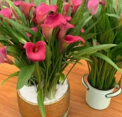 Arranjo de calla no pote de vidro