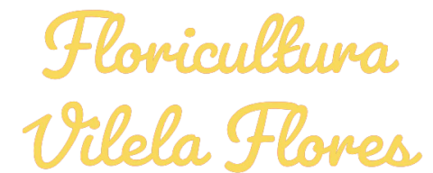 Vilela Floricultura