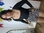 Body manga longa PRETO na internet