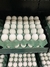 Ovo Branco Pente 30 Unidades Envio Imediato Mercado Silva