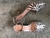 SLINGBACK VICENZA - loja online