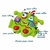 Imagem do Brinquedo Didático Baby Monster Expressão Mercotoys