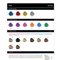 COLORES YLBER X 60 GRS. - Fusion insumos