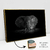 Quadro Elefante Sereno na internet
