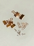 KIT OFFICE BRONZE - GRAMPO - CLIP - PIN - GRAMPO GRANDE na internet