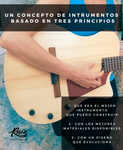 Carrusel Guitarras Raíz