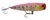 Isca Arsenal da Pesca - Pop Master 80 - Pesca | Hobby Pesca 