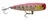 Isca Arsenal da Pesca - Pop Master 105 - comprar online