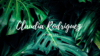 Banner Claudia Rodriguez Swimwear
