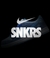 Dunk Low