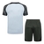 Kit Treino adulto - Camisa e Shorts - Barcelona Nike 23/24 - Cinza e verde - comprar online