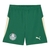 Short Palmeiras Edição especial Mundial de Clubes 25/26 - Masculino Puma - Verde - comprar online