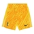 Shorts Tottenham Goleiro 24/25 - Masculino Nike - Amarelo
