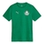 Camisa Palmeiras Treino 25/26 - Torcedor Puma Masculina - Verde - comprar online