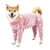 Pijama de inverno para cachorro