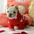 Tricot com Capuz Moodi - comprar online