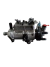 Bomba Injetora Agrale 5075 - V8860A080W