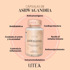 Ashwagandha - Brilla Bajando