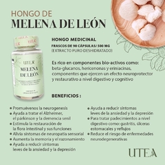 Melena de León en internet