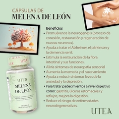 Melena de León - Brilla Bajando