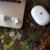Beats Studio Buds – Auriculares Internos Inalámbricos Bluetooth, Cancelación de Ruido, Blanco, Micrófono y Estuche de Carga en internet