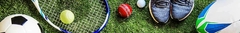 Banner de la categoría Deportes
