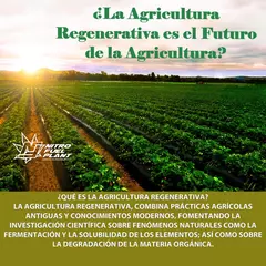 ACEITE DE NEEM X 20 ML VENC 12/2024 ORGANICO - comprar online