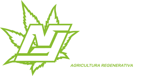 NITRO FUEL PLANT