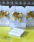 Personalizados finos Formatura do ABC - loja online