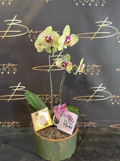 Coquetel com Orquídea