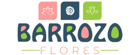 Barrozo Flores - Loja Online da Floricultura em Governador Valadares