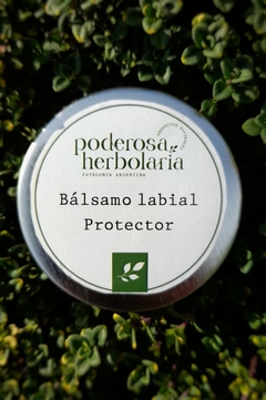 Bálsamo Labial Protector con Jojoba, Lavandas y Caléndulas - comprar online