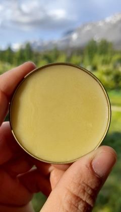 Bálsamo Labial Protector con Jojoba, Lavandas y Caléndulas en internet