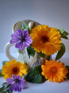 Blend Herbal Relajante - comprar online