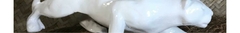 Banner da categoria Animais