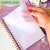 Agenda Tradicional 2025 - Cores 04 - loja online