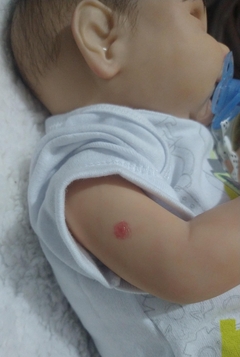REBORN AVA MENINO