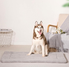 Imagem do Caminha pra cachorro antiderrapante Hero Dog