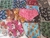 Bandana Botao macho sortida 10 und