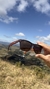 Óculos Ilha da Madeira - Marrom na internet