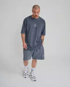 CAMISETA OVERSIZED MOVING CINZA ESTONADA MONTE LESTE na internet