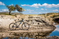 Bicicleta 29 Caloi Explorer Comp - comprar online