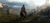 RED DEAD REDEMPTION 2 PS4 na internet
