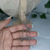 Colar Choker Fio invisível Madrepérola (Pedra Natural) Aço Inox Prata na internet