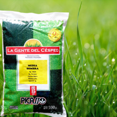 PICASSO SEMILLA CESPED MEDIA SOMBRA 1 KG - SOMB-1000