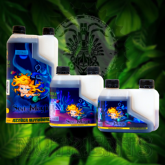 AZTEKA NUTRIENTES SEA MAGIC X 1LT - SEA M03