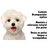 Shampoo Pet Clean 5L (para cães e gatos) - comprar online
