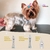 Shampoo Hidratante Texturizador Pet Tchuska 500ml (para cães, gatos e coelhos) na internet